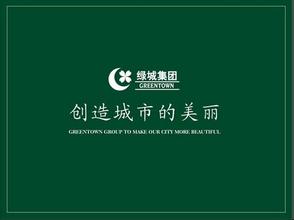 建材家居領(lǐng)航者——綠城電商