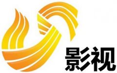 電視劇制作及發(fā)行商——山東影視傳媒集團