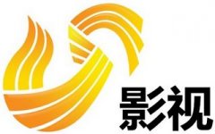 電視劇制作及發行商——山東影視傳媒集團